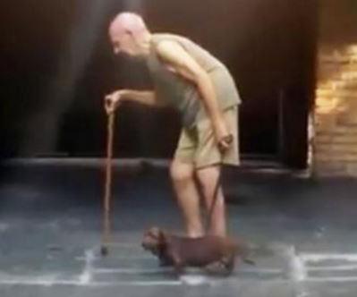 Dog walks at same pace as elderly owner
