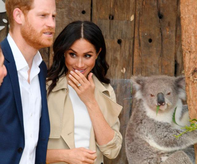 Prince Harry and Duchess Meghan are having the time of their lives on day one of their royal tour