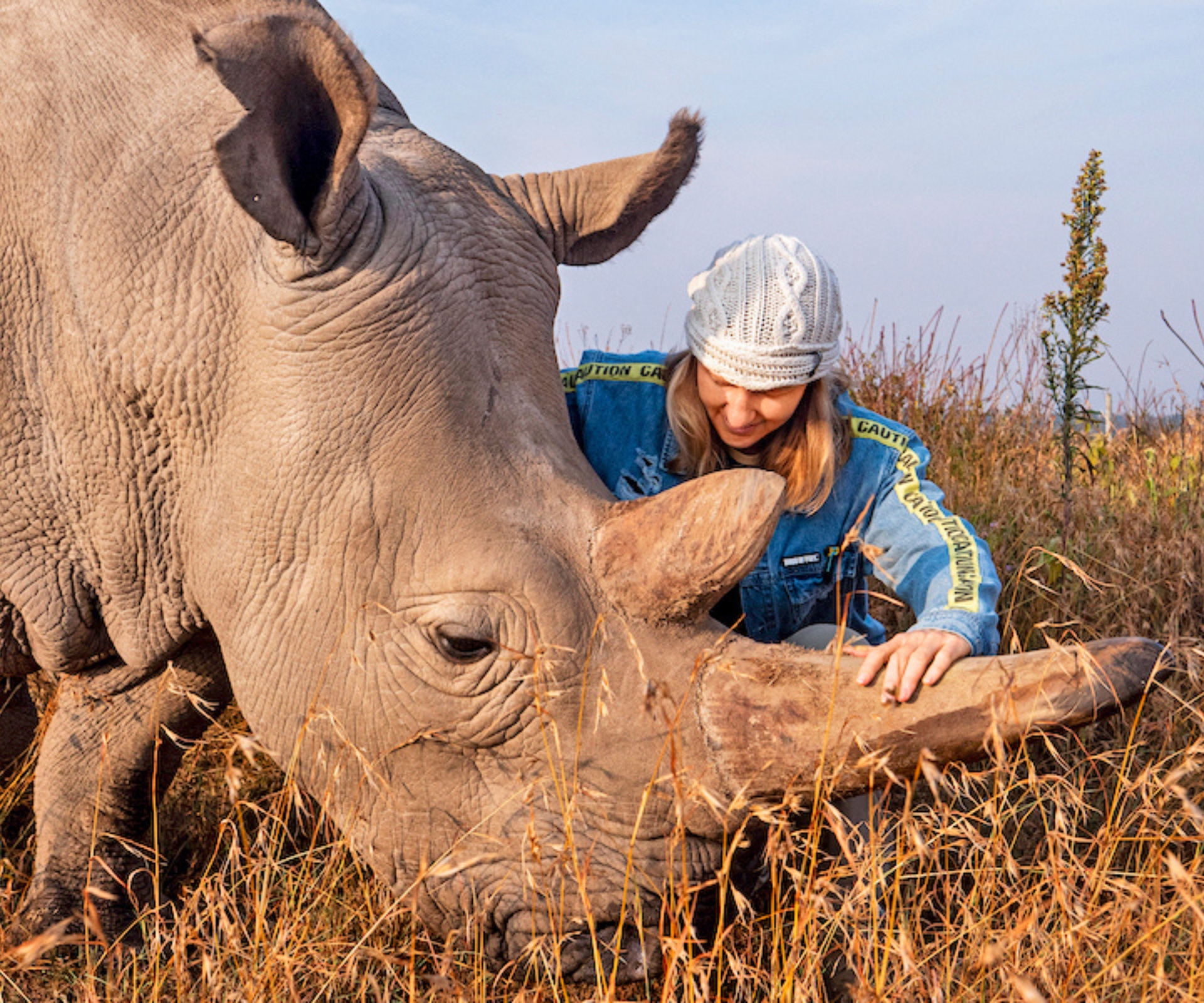 Jamie patting a rhino on the horn