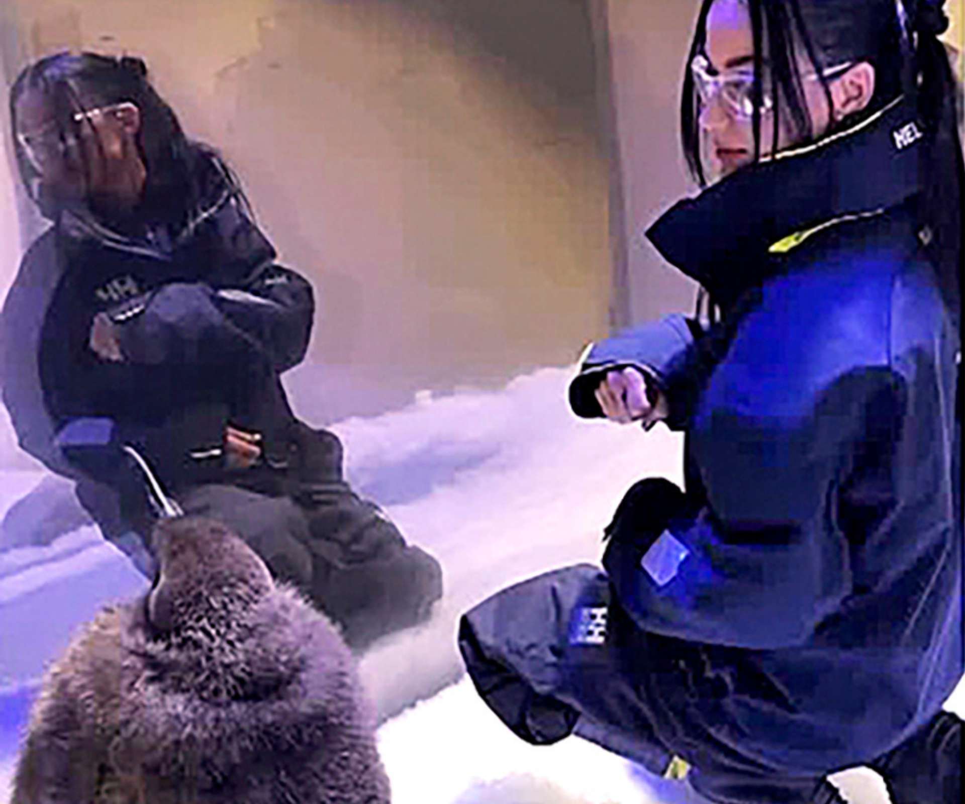 Katy Perry with fluffy baby penguin