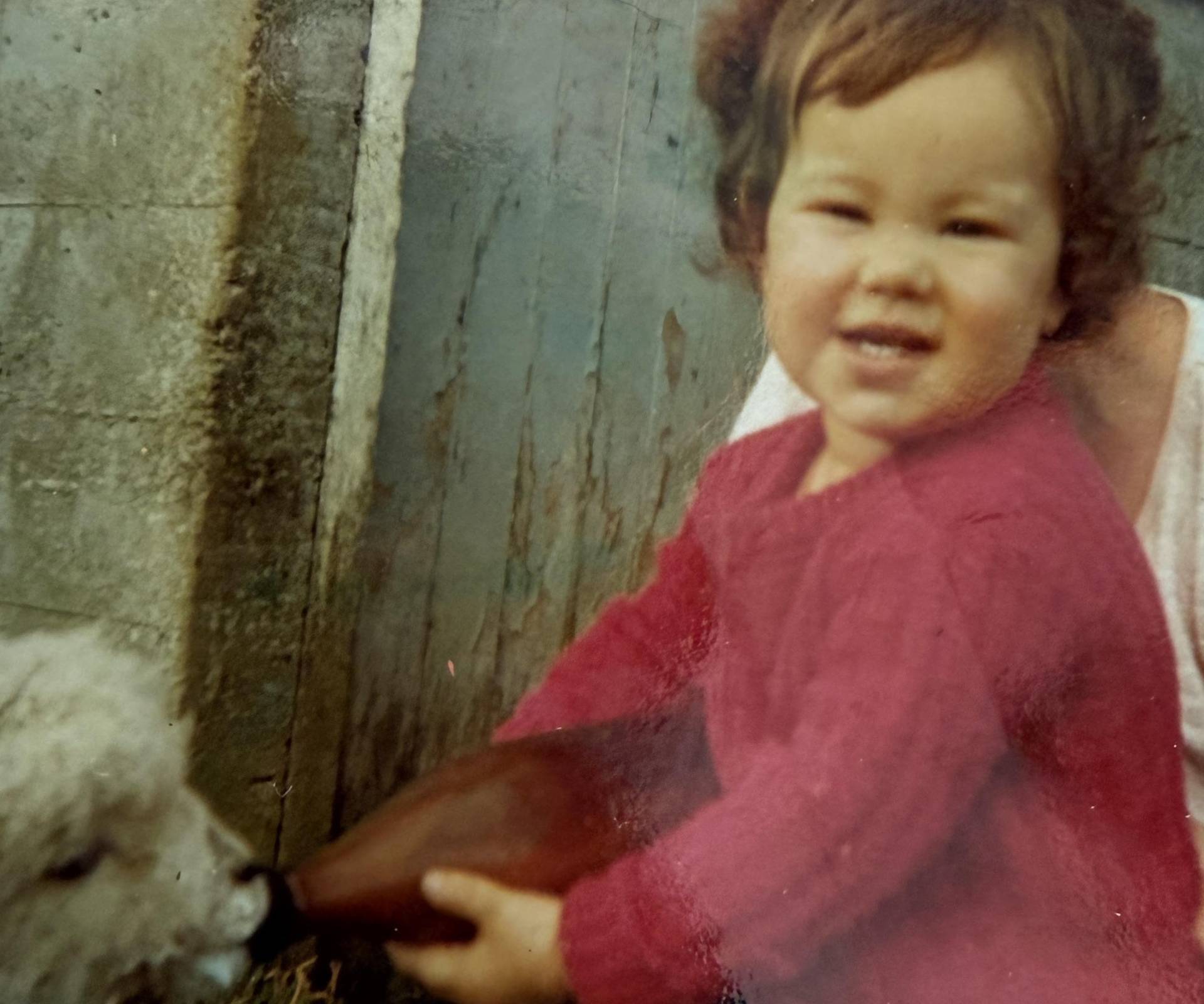 LeeAnn feeding a lamb as a toddler