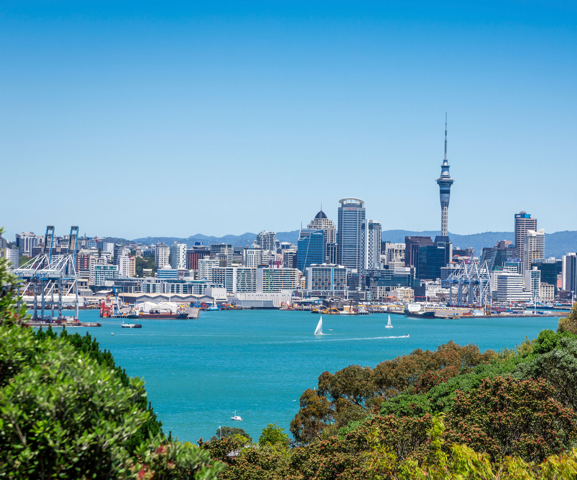 5 reasons to revisit Auckland