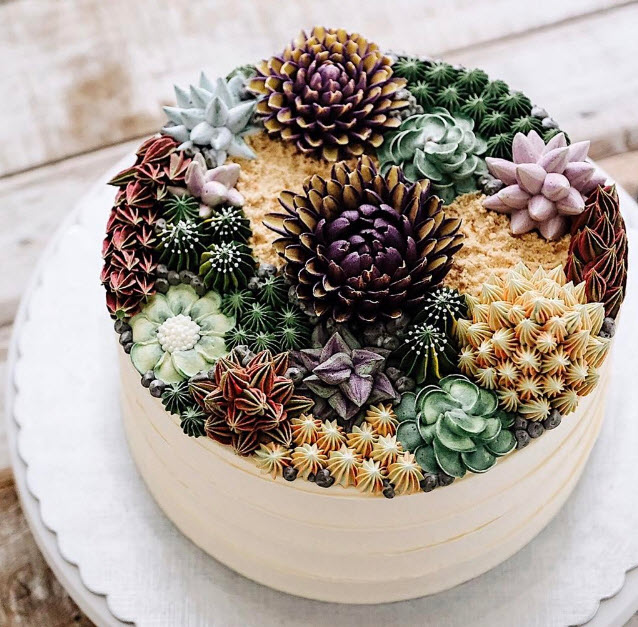 Succulent cakes