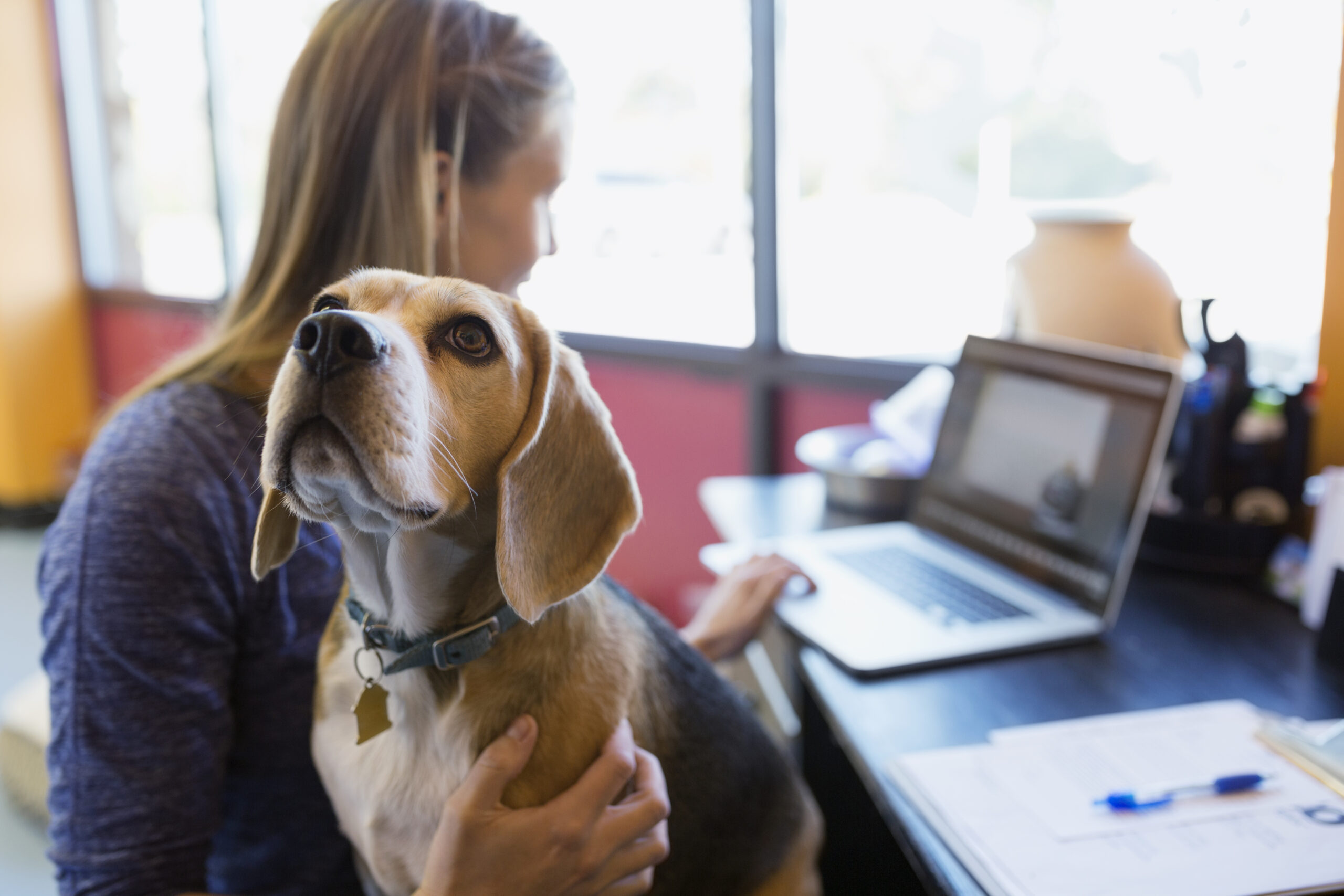 What you need to know about Pets at Work Day