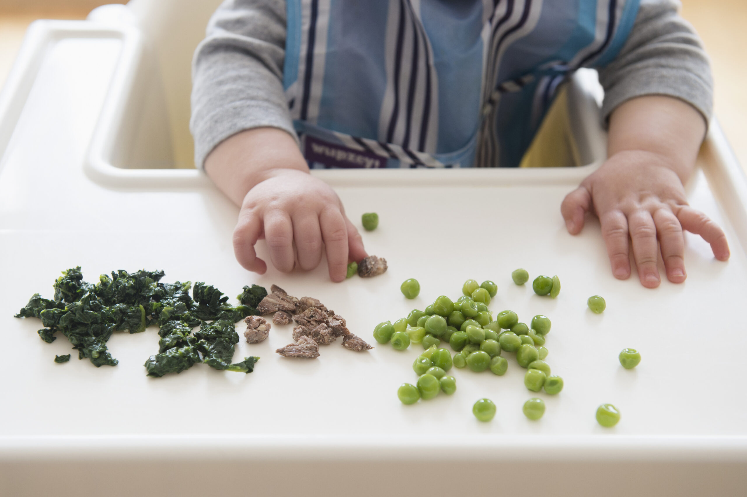 Baby-led weaning doesn’t mean babies gain less weight