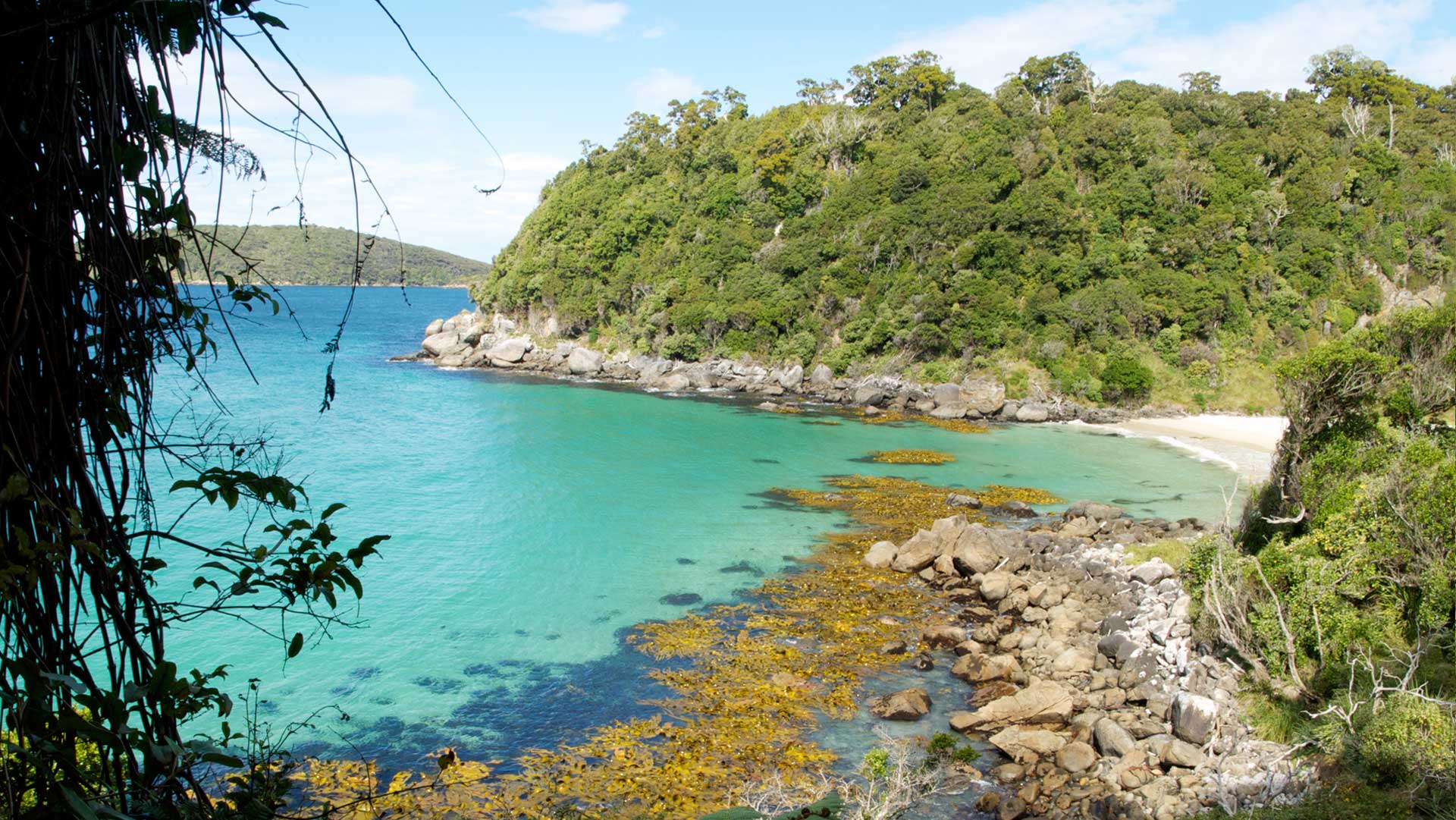 Things to do in Stewart Island