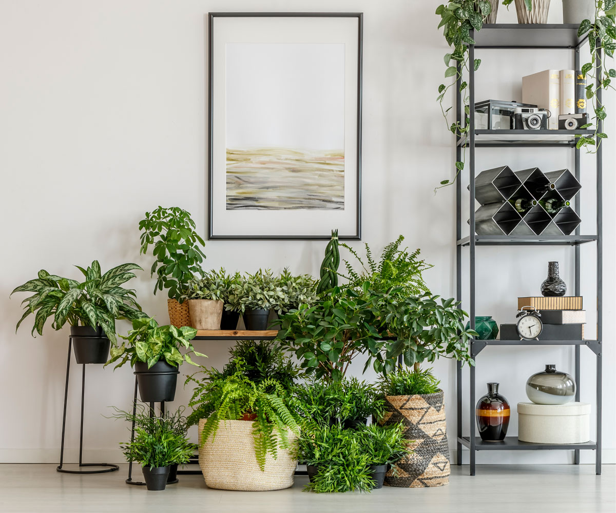 The health benefits you’ll enjoy when you bring nature into your home