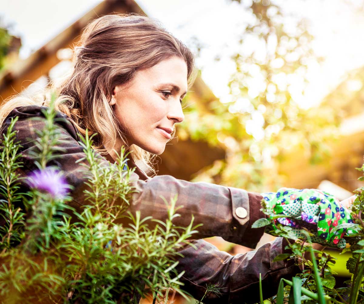 How gardening can change your mind and body for the better