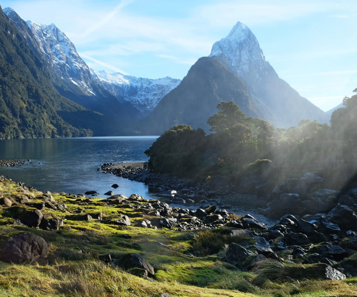 Why a digital detox and wellness weekend in Fiordland is exactly what you need