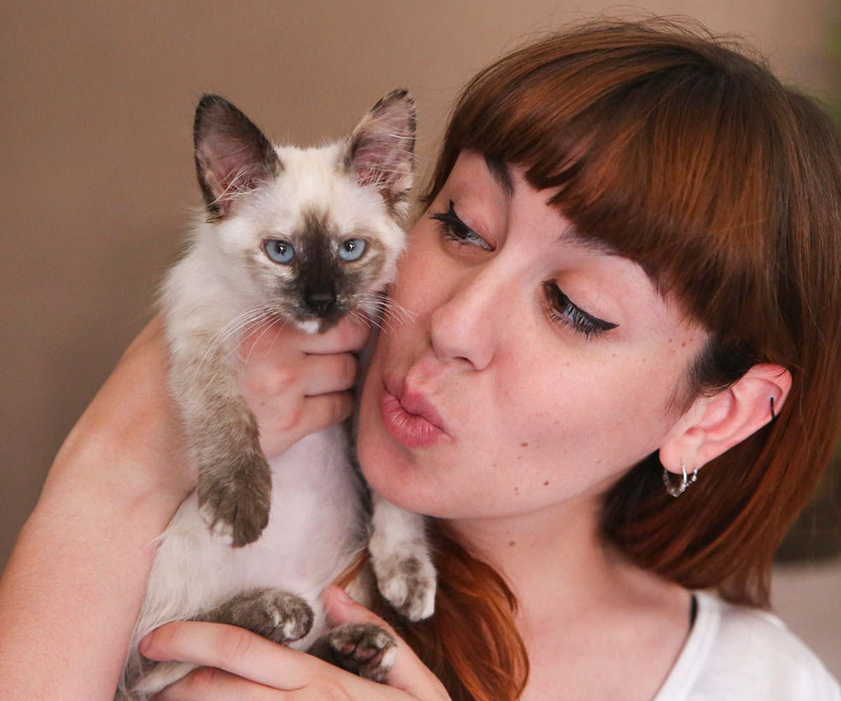Six signs that you’re obsessed with your cat