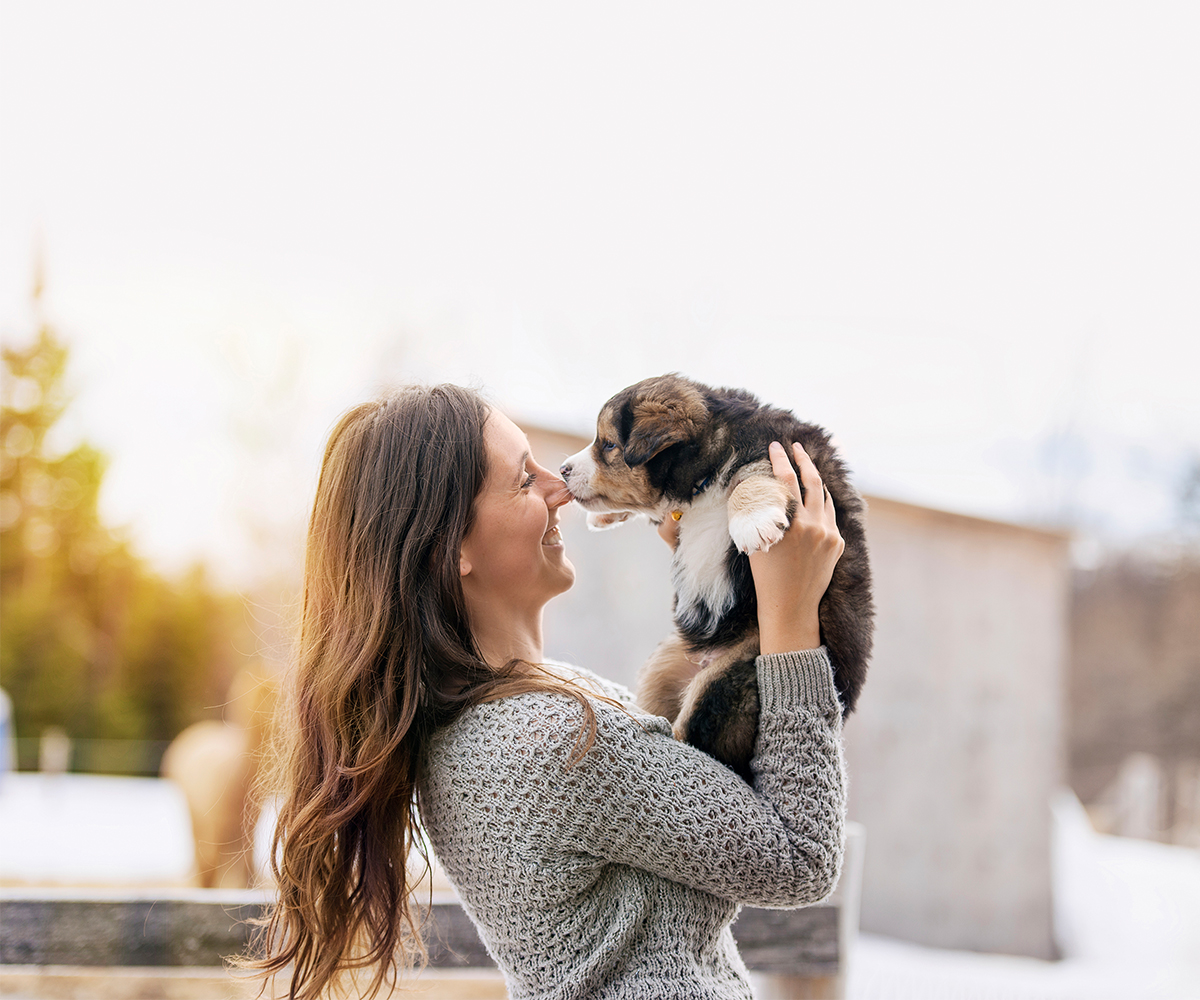 The pros and cons of adopting a rescue animal