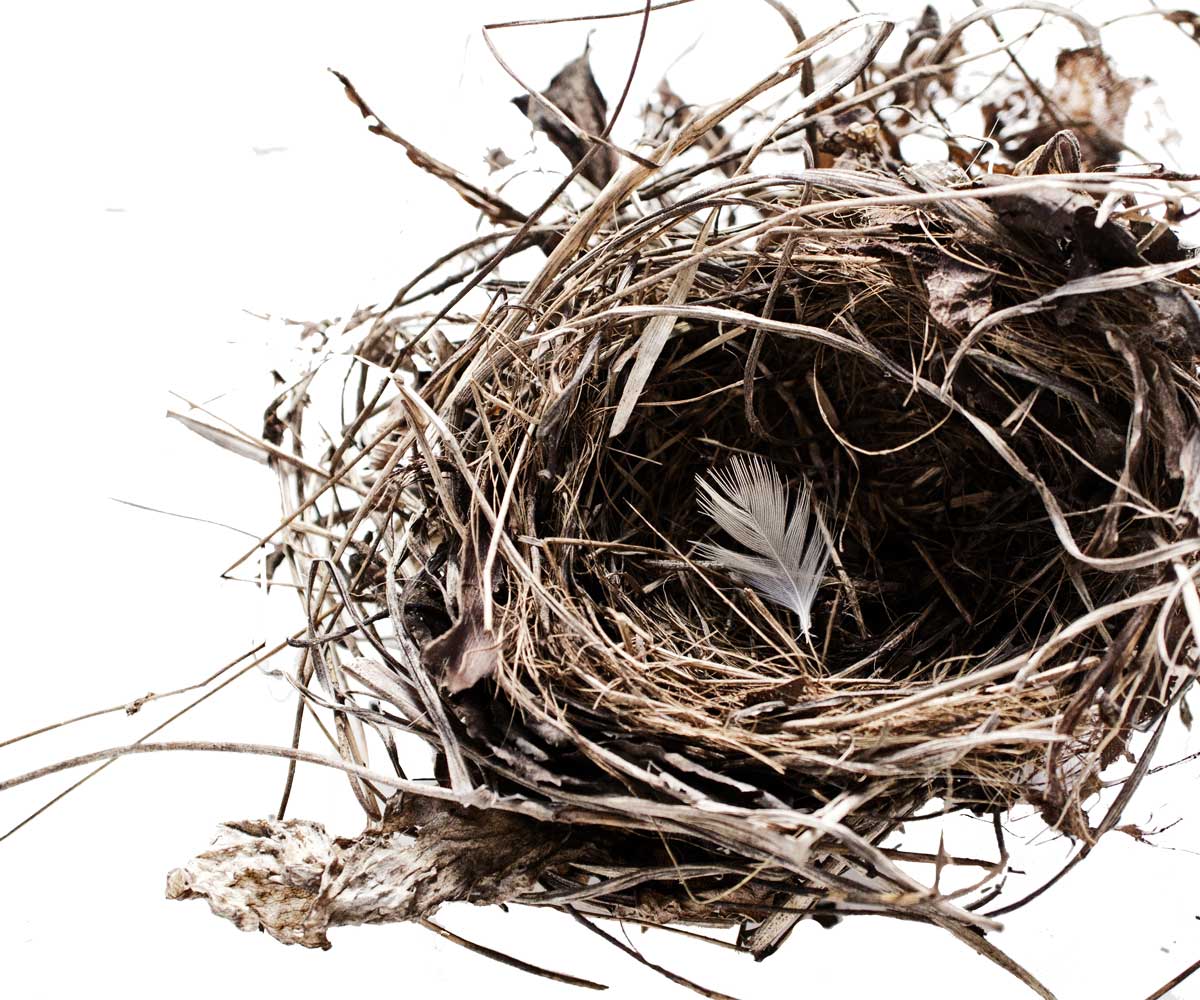 Empty nest: One mum’s tips for how to adjust when your children fly the coop