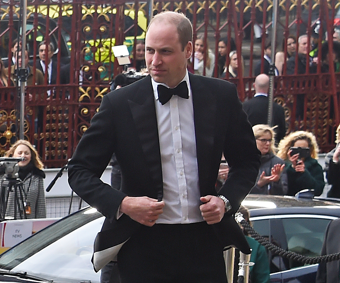 prince william at the natural history museum 