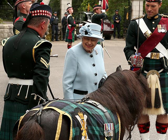 the queen and shetland pony scotland
