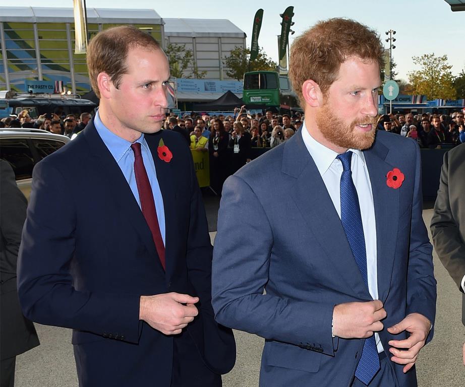prince harry and prince william