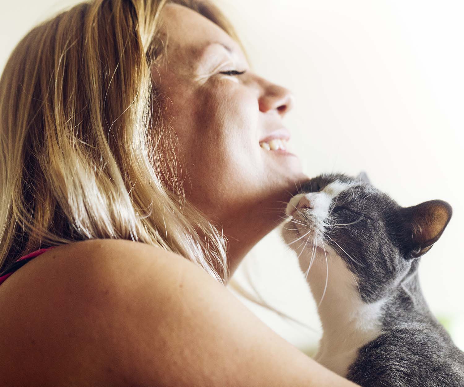 Study finds cats have had a bad rap – they actually care about us quite a lot