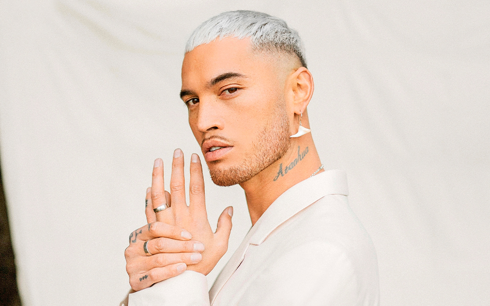 Stan Walker’s Hollywood gig