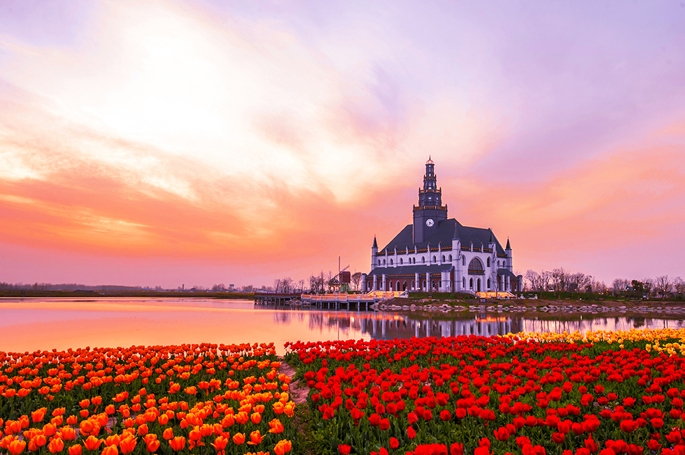 Why you should visit the Jiangsu province: floral wonderlands, historic towns and tea gardens