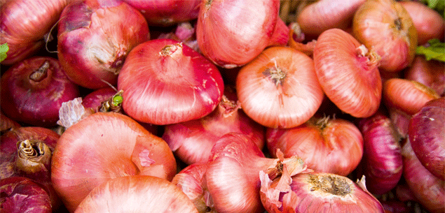 Simon Gault: Cipolline onions