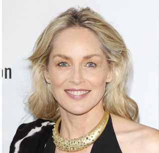 sharon stone, sharon stone sued for racism,
