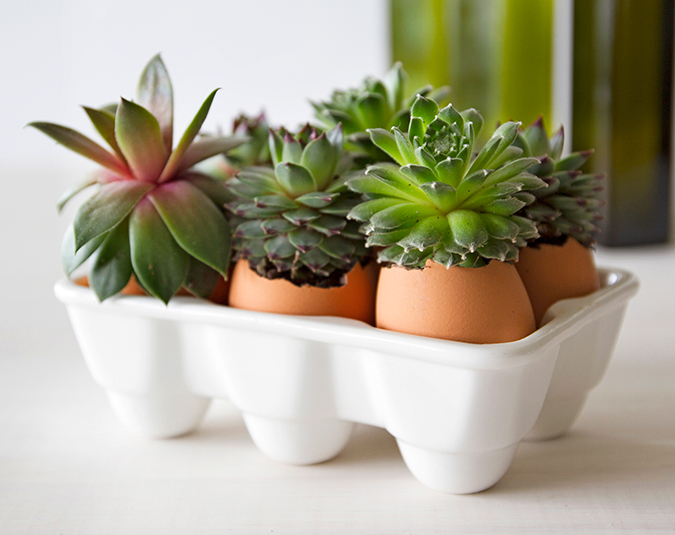 Craft: Make your own egg plant pots | Now to Love - New Zealand