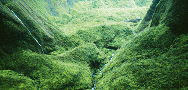 Travel: Hawaiin islands