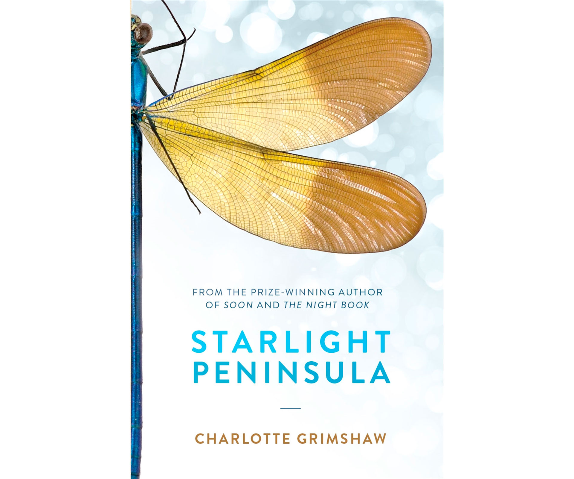 Starlight Peninsula by Charlotte Grimshaw.