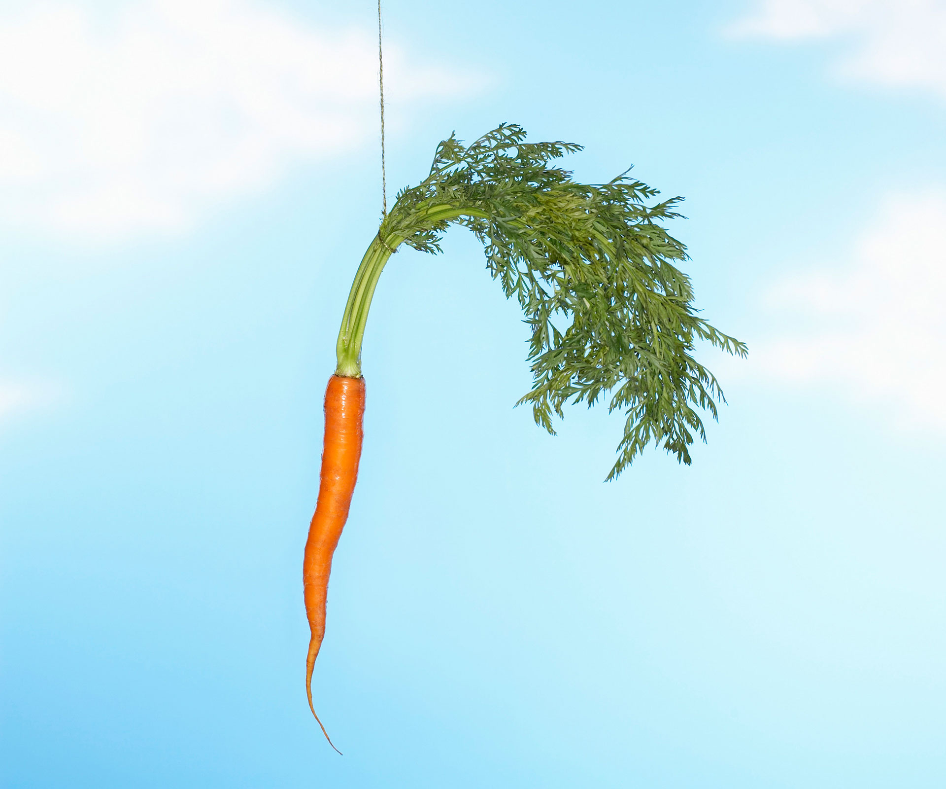 Carrot and stick motivation