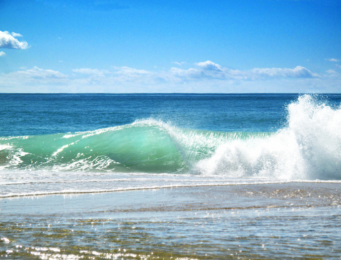 World Ocean Day 2016