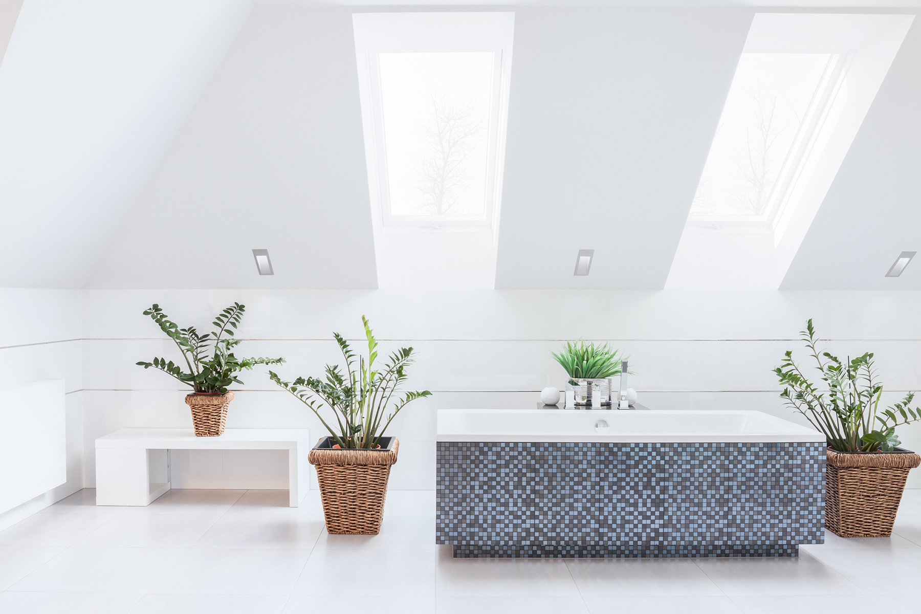 What are the best plants for the bathroom?