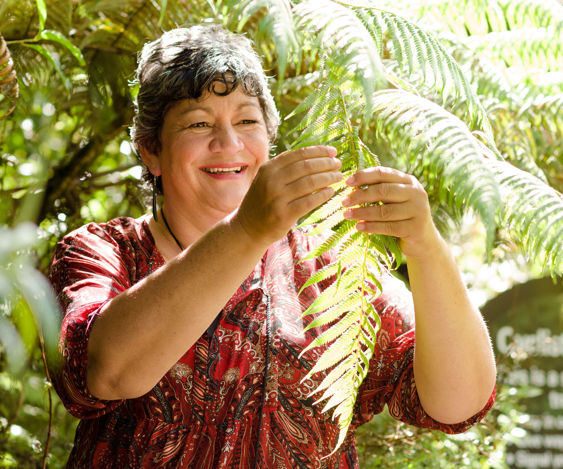 The workaholic who became a Maori healer