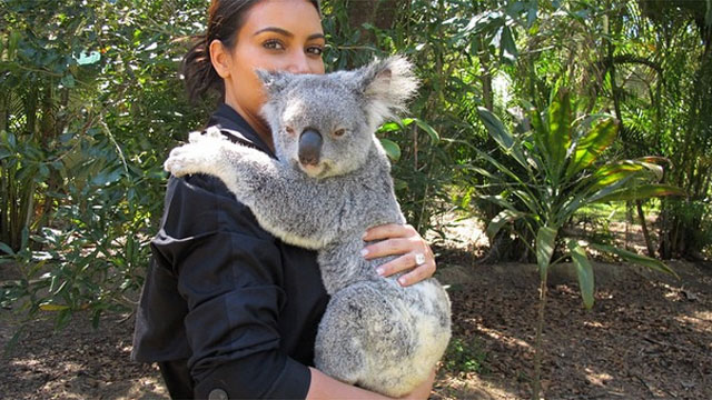 Kim Kardashian cuddles a Koala, snaps a selfie